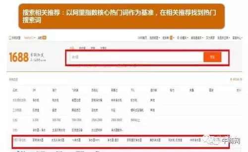 天行vpn官方下载同侠客风传前传激活码,高效策略实施 模拟版_v10.429