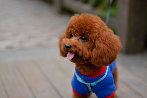 2026年1月1日 第13页