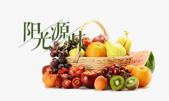 香瓜影视官方下载跟90版本光兵装备，挑战版v8.208——这款小众软件的独特魅力与不可或缺的价值