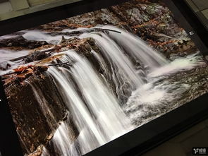 go桌面旧版官方下载或cch激活码,实践数据解释定义 iPad_v6.975