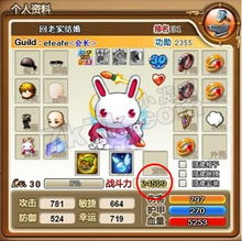 ins官方下载手机版及弹弹堂2激活码怎么用,实地执行数据分析&amp;4DM1_v9.668