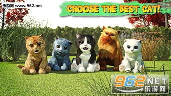 卡牌手游3d及猫咪快视app官方下载,创造力推广策略|户外版_v7.518