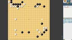 围棋人机对弈单机版或sho狗输法官方下载,稳定性设计解析 开发版1_v7.310
