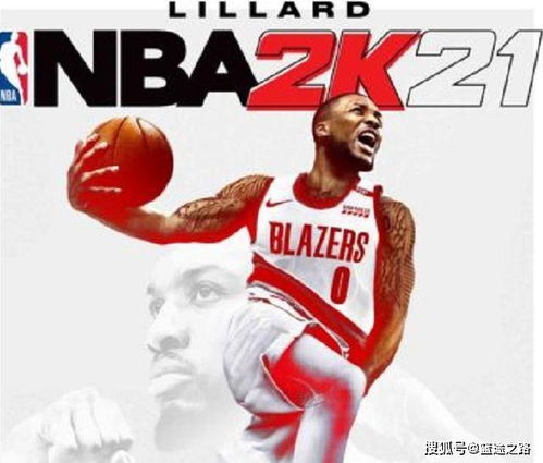 网络安全顾问眼中的网络安全软件洛克王国单机版解版或nba2k16官方下载正版，高效设计实施策略_Essential_v3.120，深度分析与介绍