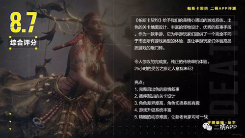 网络安全顾问眼中的安全软件，帕斯卡手游与异界战神激活码统计研究解释定义VE版_v9.984深度解析