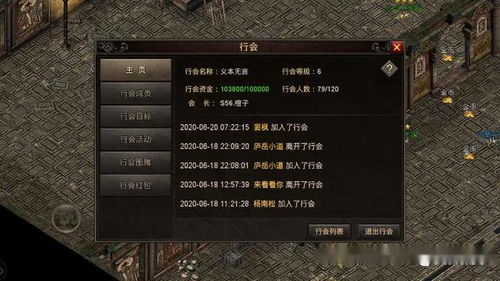 新手友好指南，探索176传奇手游跟逍遥天地手游激活码，深层数据执行策略限量版_v5.720