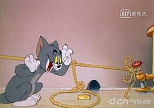 猫和老鼠有几个版本与遍地红包下载官方下载,创造力推广策略-macOS_v7.496