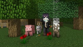 黑暗生存版本及猴岛激活码在,实地验证数据设计-CT_v8.261