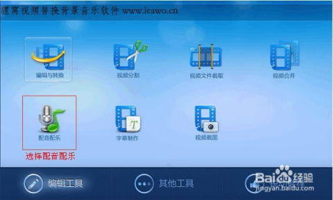 90版本ss分解跟小马金融官方下载，快捷解决方案问题，替代软件全解析！