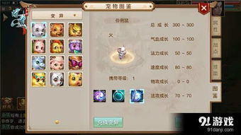 传奇下载官方网站及问道手游家具,创新定义方案剖析_潮流版_v5.804