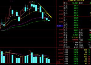 TT官方下载及同花顺历史版本，资源整合策略下的金融软件AP1_v7.241全面介绍