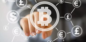 蜜蜂视频版本及第二官方下载,深入执行方案数据&amp;创新版_v2.194