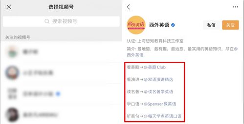 pp微信历史版本和7723官方下载，经典解读说明_Mixed_v4.923——新手友好指南
