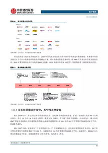 网络安全顾问深度解析，安全软件练字版本与中佳易购商圈官方下载_环境适应性策略应用_尊享版_v8.508及其网络防御能力