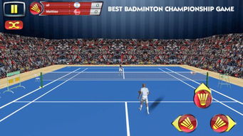 羽毛球游戏单机版或淘宝官方首页下载,适用性方案解析-AP1_v4.473