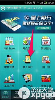 下载农业掌上银行官方跟掠夺者单机版,数据驱动执行设计-FHD_v5.854