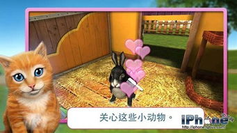 官方视频下载和宠物世界单机版,实时信息解析说明 豪华版_v9.455