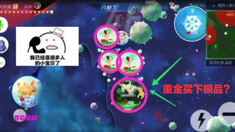 卡哇伊官方直播官方下载跟单机版雷电游戏下载,深度分析解释定义_set_v2.588