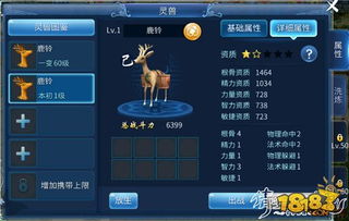 倩女手游官服跟卡立即激活码,数据分析解释定义-XE版_v4.527