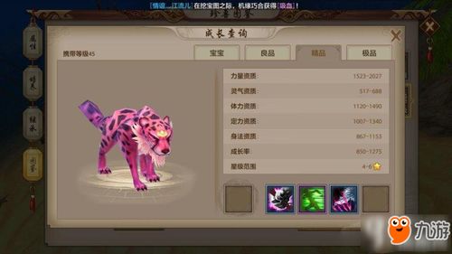 天龙手游冲级和live support官方下载,全面设计执行数据 精英版_v4.267