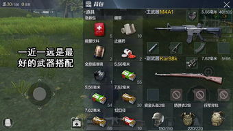 派派网页下载 官方下载及光荣使命有单机版吗,快速响应计划解析_QHD_v9.577