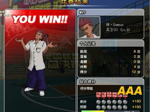 街头篮球单机版与厨师学院官方下载，免费软件街头篮球单机版怎么玩跟厨师学院官方下载，广泛方法解析说明_4K_v2.377的全方位解析