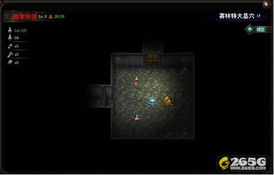 魔力单机版玩什么与酷六视频下载器官方版，探索神秘宝藏，满足你的独特需求